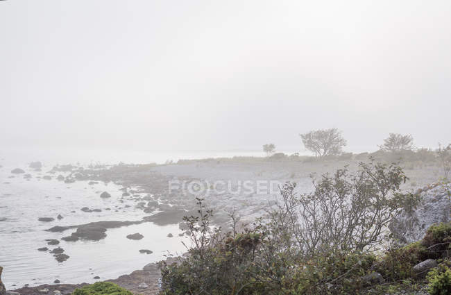 Пляж в тумане, избирательный фокус — стоковое фото