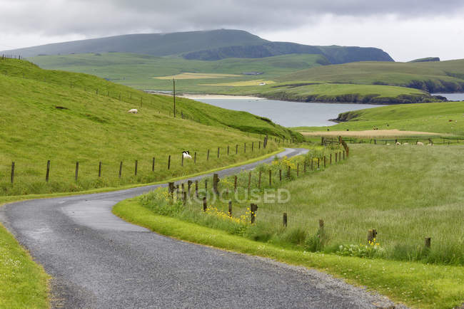 Spiggie sur Shetland Islands, Royaume-Uni — Photo de stock