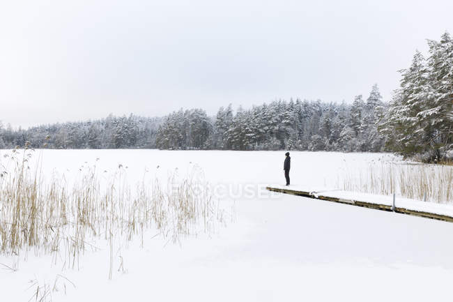 Femme mûre debout sur un lac gelé à Ostergotland, Suède — Photo de stock