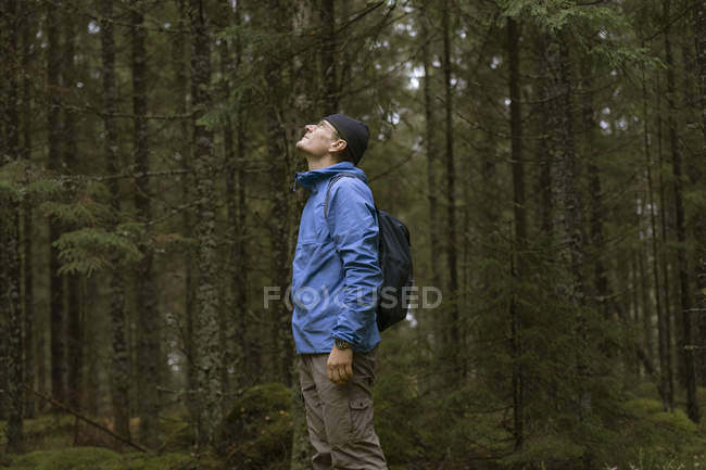 Hiker looking up in forest, focus on foreground — Stock Photo