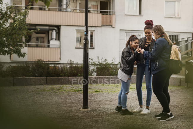 Ragazze adolescenti che utilizzano lo smart phone nel parco — Foto stock