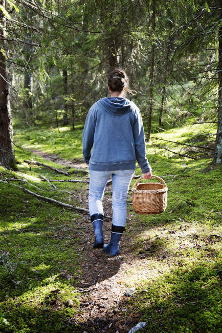 Mujer recogiendo setas en el bosque - foto de stock