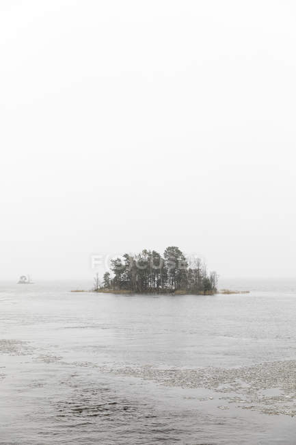 Malerischer Blick auf Bäume auf der Insel — Stockfoto