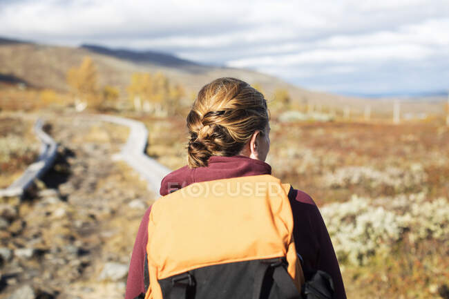 Rear view of mid adult woman hiking — Stock Photo