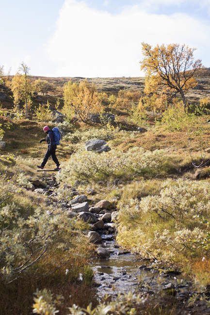 Femme faisant de la randonnée à l'automne, orientation sélective — Photo de stock
