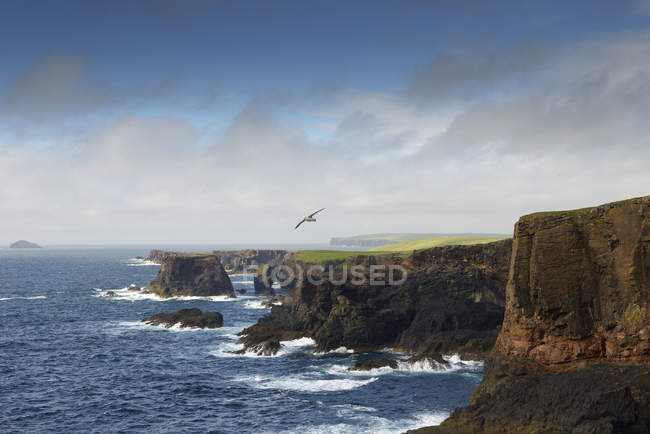 Felsige Küste auf den Shetlandinseln, vereinigtes Königreich — Stockfoto