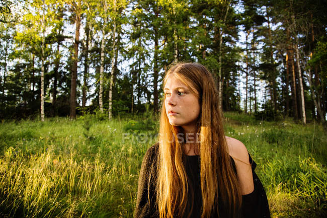 Retrato de mujer joven en el bosque al atardecer - foto de stock