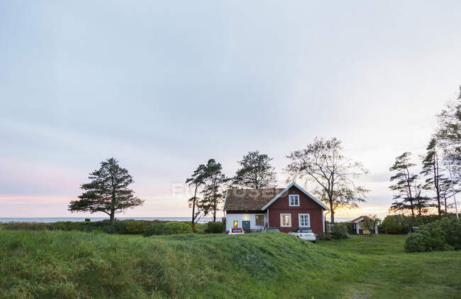 Будинок і високі дерева на зеленому трав'янистому полі вранці — стокове фото