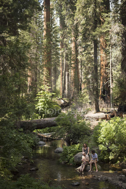 Hikers by river in forest, selective focus — Stock Photo