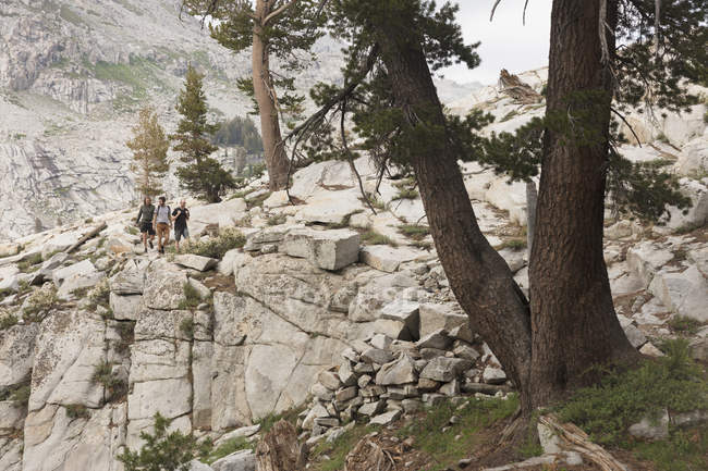 Caminhantes em Sequoia National Park, na Califórnia — Fotografia de Stock