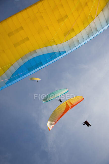 Visão de ângulo baixo de parapentes voando no céu azul — Fotografia de Stock