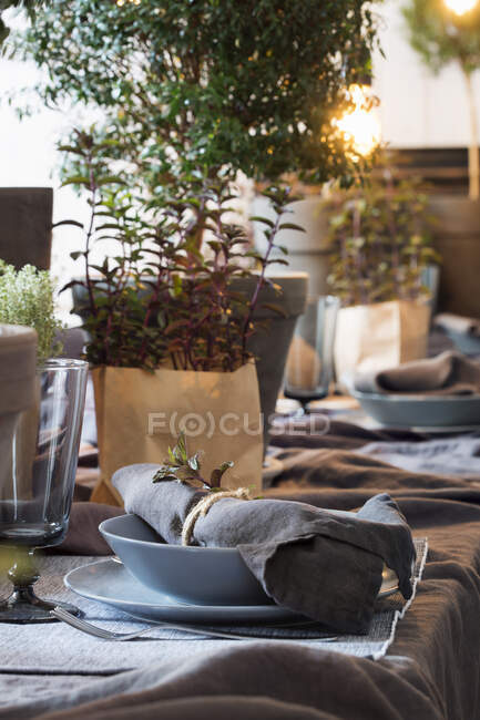 Plantas e local de configuração na mesa de jantar — Fotografia de Stock