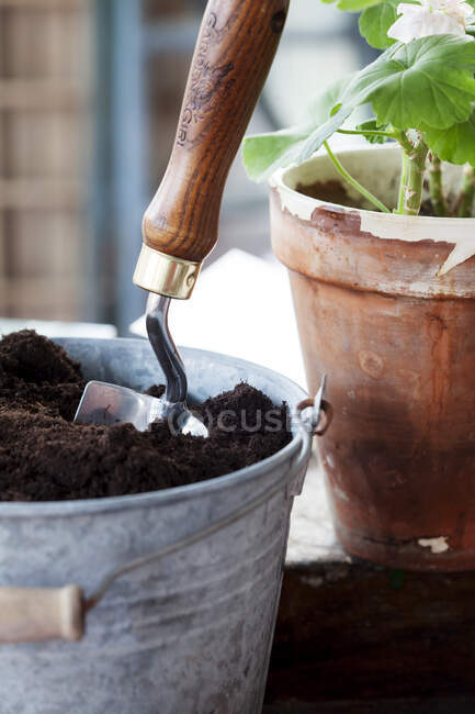 Trowel in pot of soil — Stock Photo