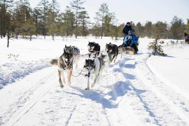 Family on dog sled under clear sky — Stock Photo
