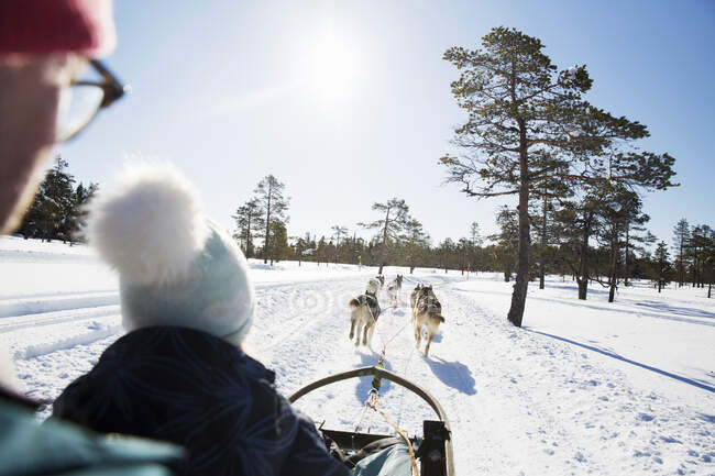 Man with his daughter on dog sled — Stock Photo