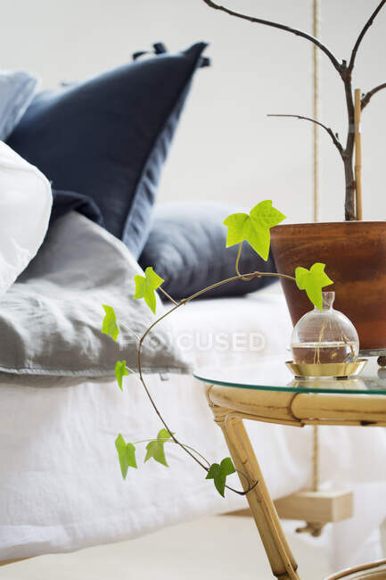 Planta na mesa de cabeceira por cama — Fotografia de Stock