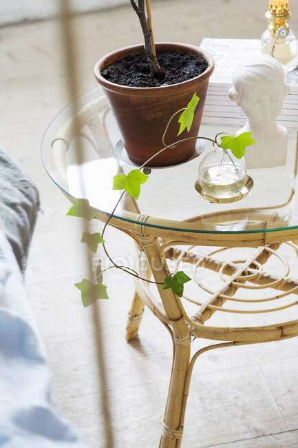 Plantes et buste sur table en verre — Photo de stock
