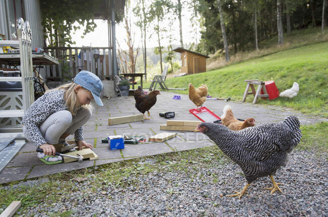 Mädchen arbeitet mit Holz unter Hühnern — Stockfoto
