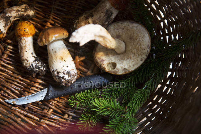 Mushrooms and knife in basket — Photo de stock