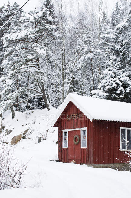 Cabana e floresta na neve — Fotografia de Stock