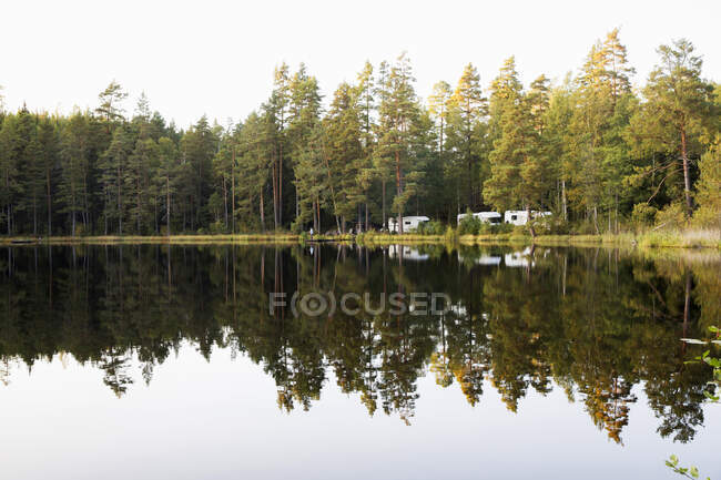 Trees by lake in Tiveden National Park, Sweden — Fotografia de Stock