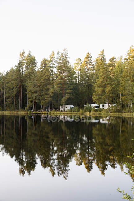Trees by lake in Tiveden National Park, Sweden — Foto stock