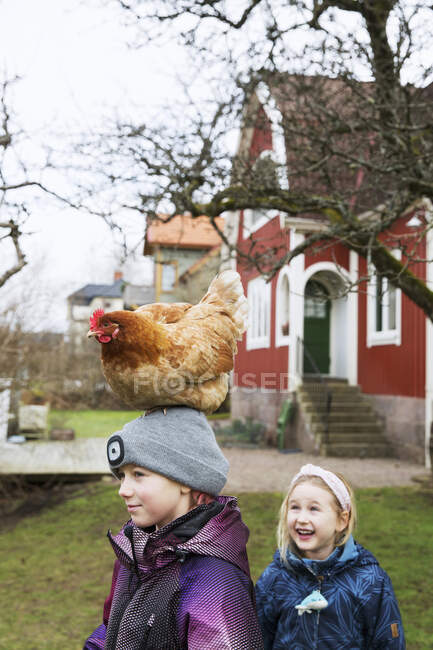 Siblings with hen on girl's head — Stockfoto