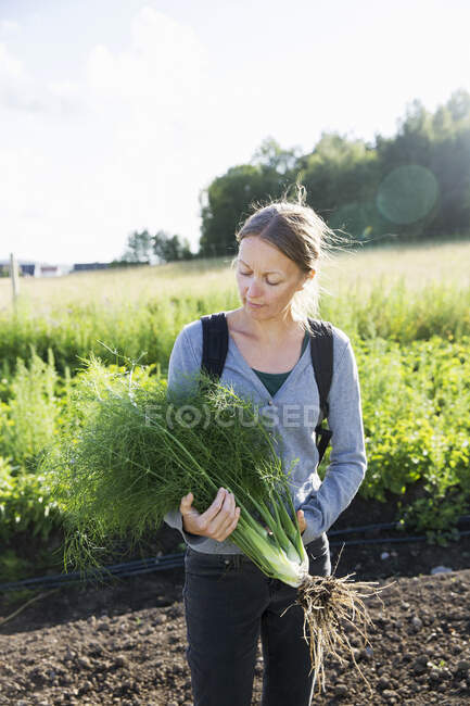 Woman holding fennel in garden — Stock Photo