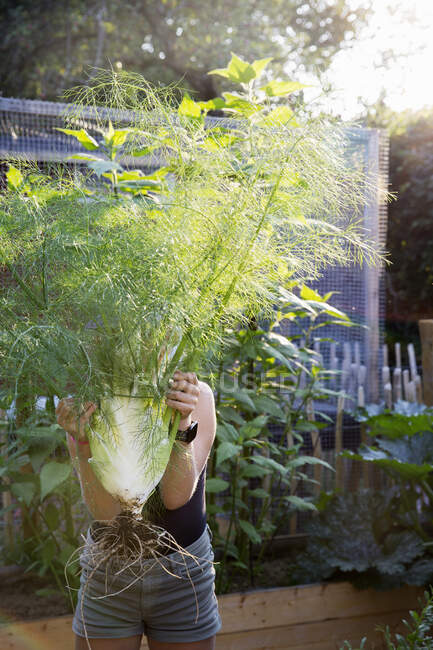 Mädchen hält Fenchel im Garten — Stockfoto