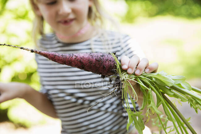 Girl holding purple dragon carrot — Fotografia de Stock