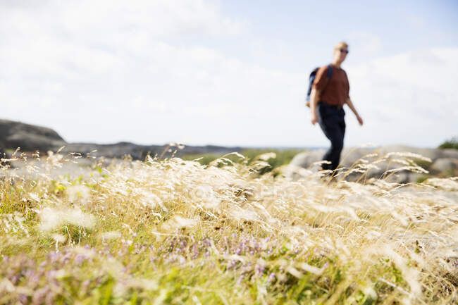 Grass and hiking woman with backpack — Stockfoto