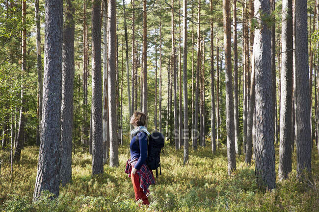 Femme randonnée dans la forêt — Photo de stock