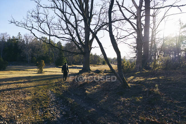 Man hiking by bare trees in Sodermanland, Sweden — Stockfoto