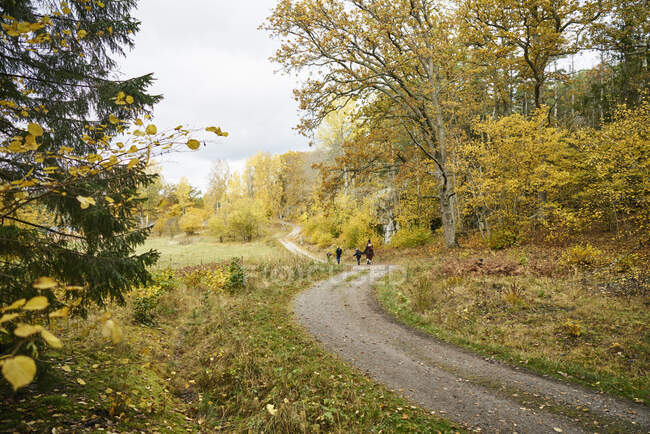 Family at trail through autumn forest — Fotografia de Stock