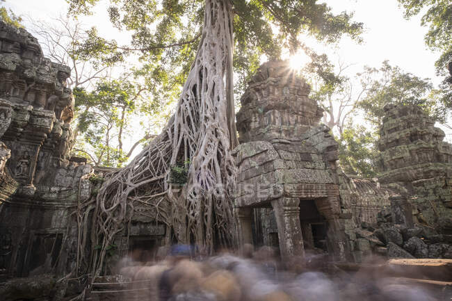 Angkor Wat em Ankor, Camboja — Fotografia de Stock