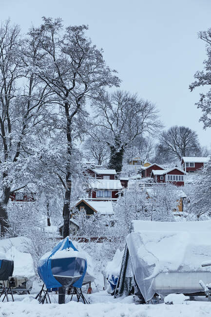 Зима в Tantolunden, Stockholm, Sweden — стоковое фото