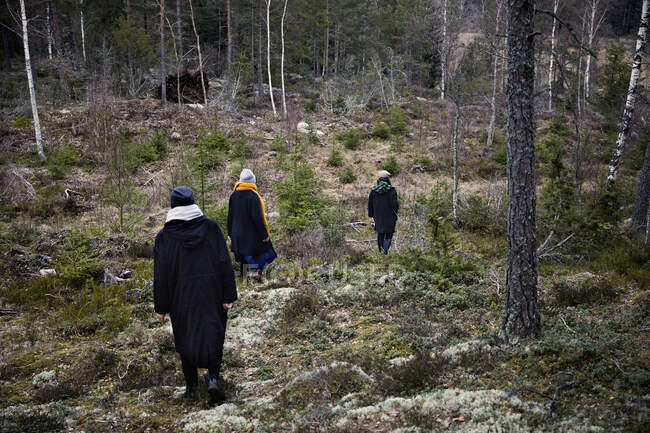 Women walking in the forest — Stock Photo