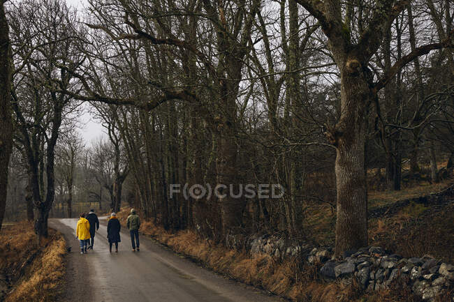 Friends walking on road through forest — Stock Photo