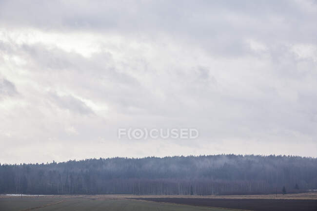 Nubes sobre el campo y el bosque - foto de stock