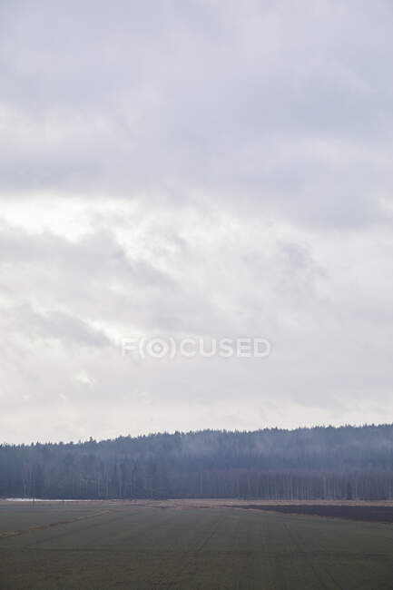 Clouds over field and forest - foto de stock