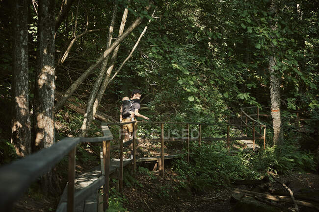 Жінка йде лісом з дочкою в дитячому перевізнику — стокове фото