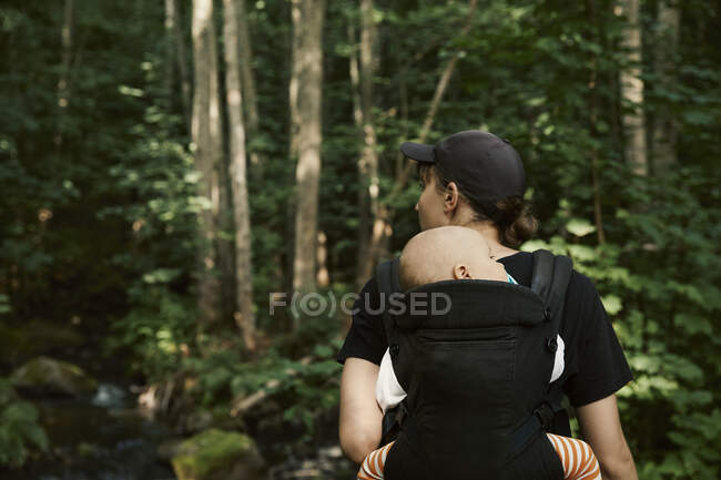Жінка йде лісом з дочкою в дитячому перевізнику — стокове фото