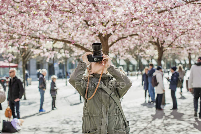 Woman photographing cherry blossom tree — Foto stock