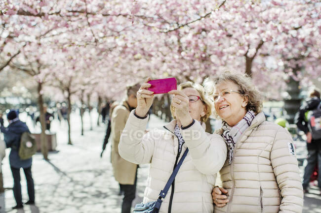 Mature women taking selfie by cherry blossoms — Fotografia de Stock