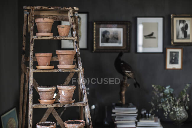 Potted plants on ladder and stuffed bird — Foto stock