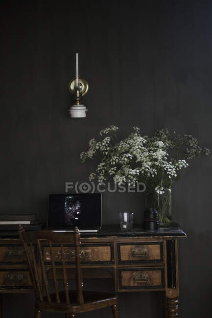 Queen Anne's Lace flowers in vase on desk by laptop — Stockfoto