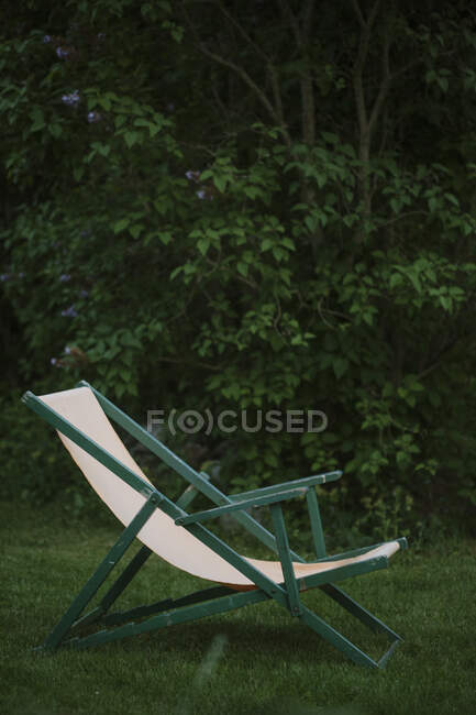 Sun lounger and lilac bush — Photo de stock