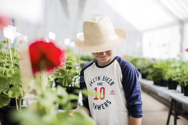 Smiling boy by geraniums in greenhouse — Foto stock