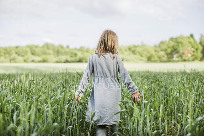 Girl in gray dress walking in field — Fotografia de Stock