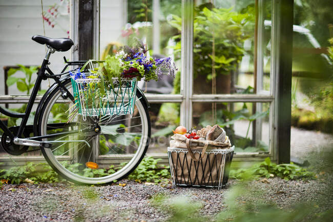 Groceries in basket and bicycle — Stockfoto